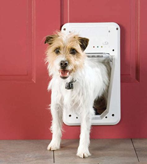 rfid tag dog door|best collar activated dog door.